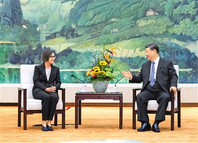习近平会见红十字国际委员会主席斯波利亚里茨